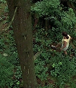 0850.jpg