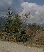 1032.jpg