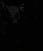 2805.jpg